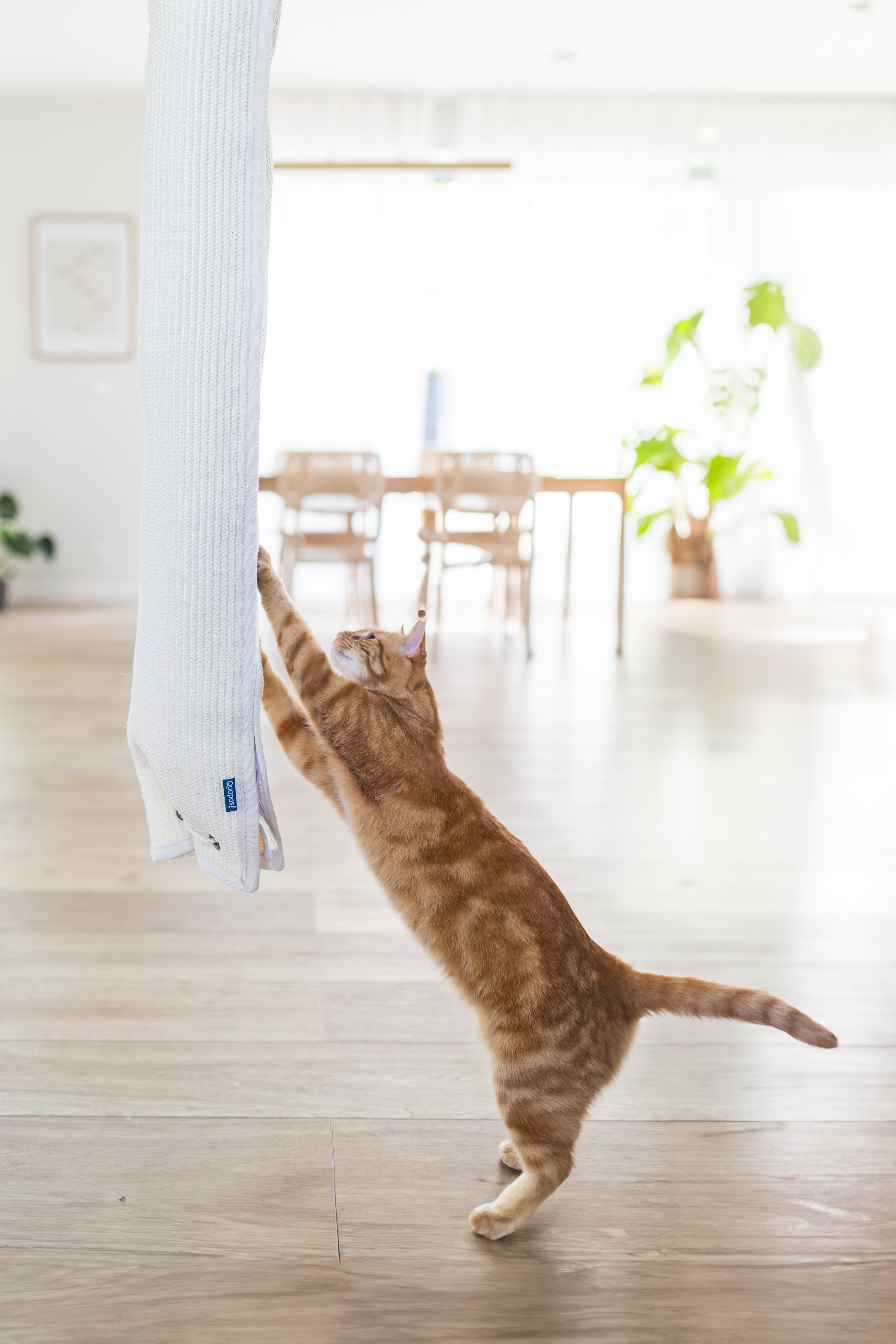 Quapas! Klimzak Sisal 180cm