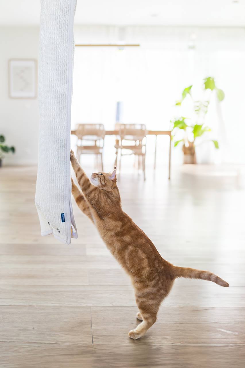 Quapas! Klimzak Sisal 180cm