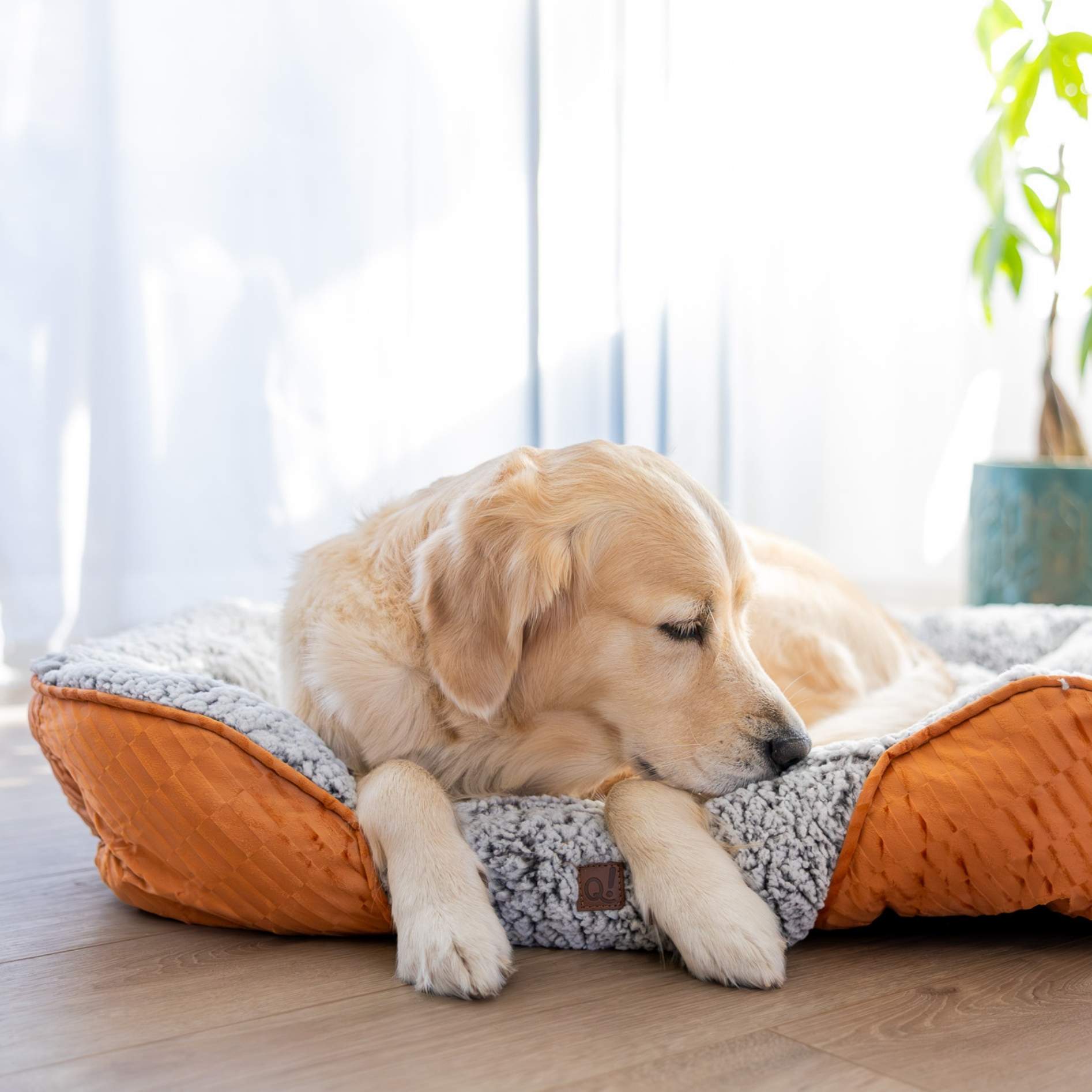 Quapas! Zelfverwarmend Bed Bruin