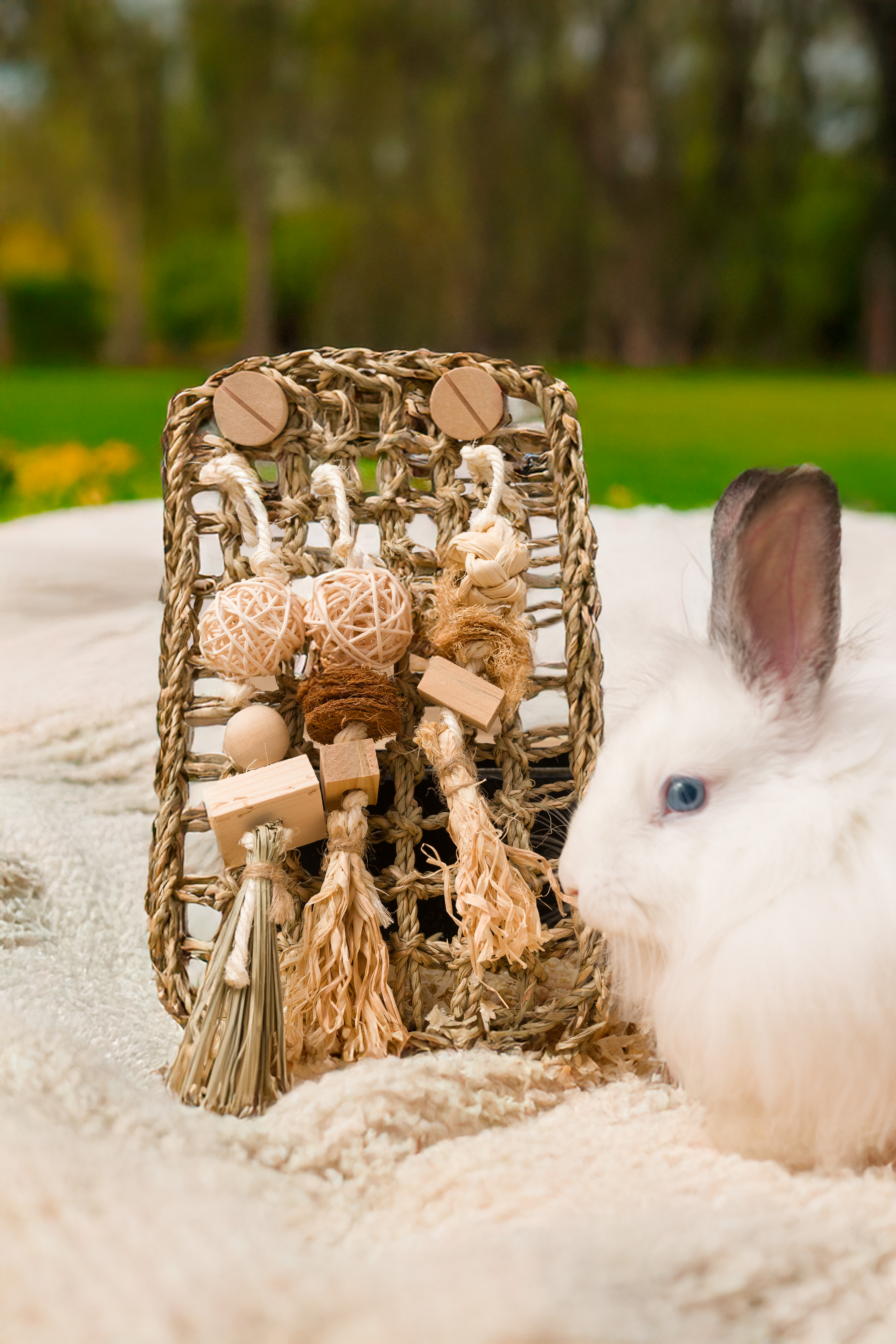 Quapas! Knabbel wand L