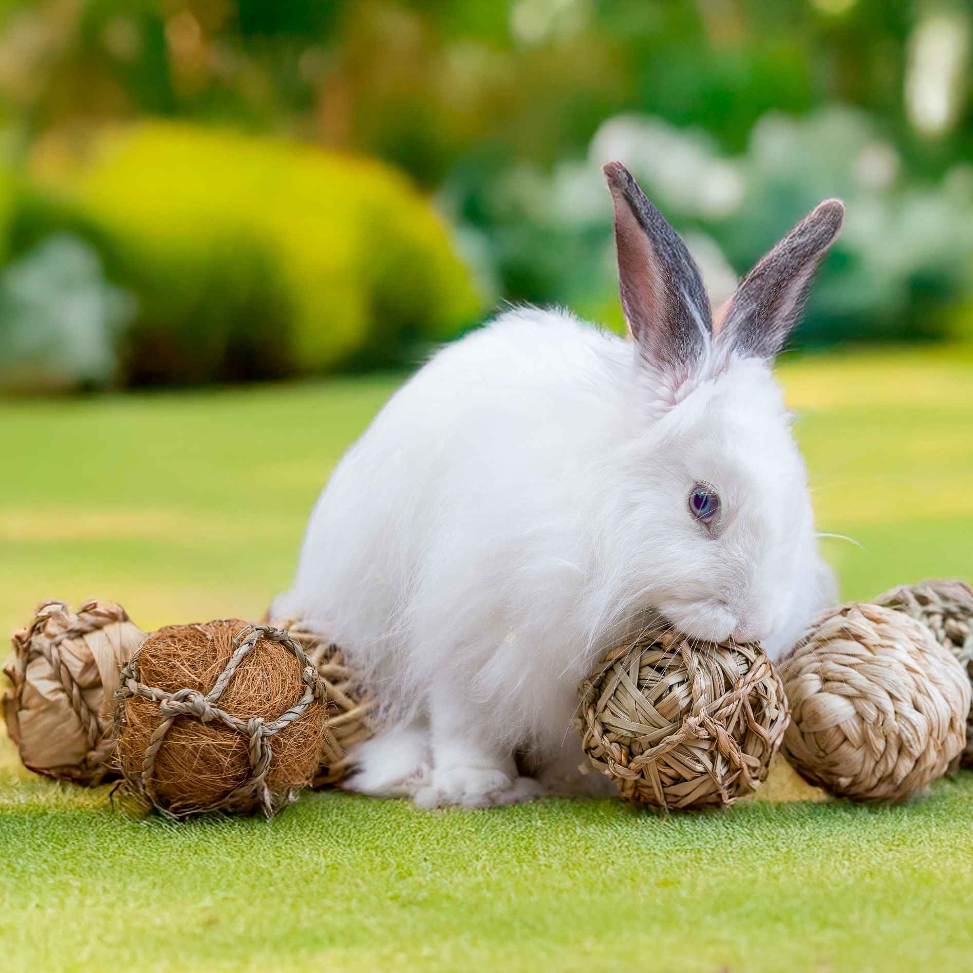 Quapas! Knabbel geschenkdoos 8st