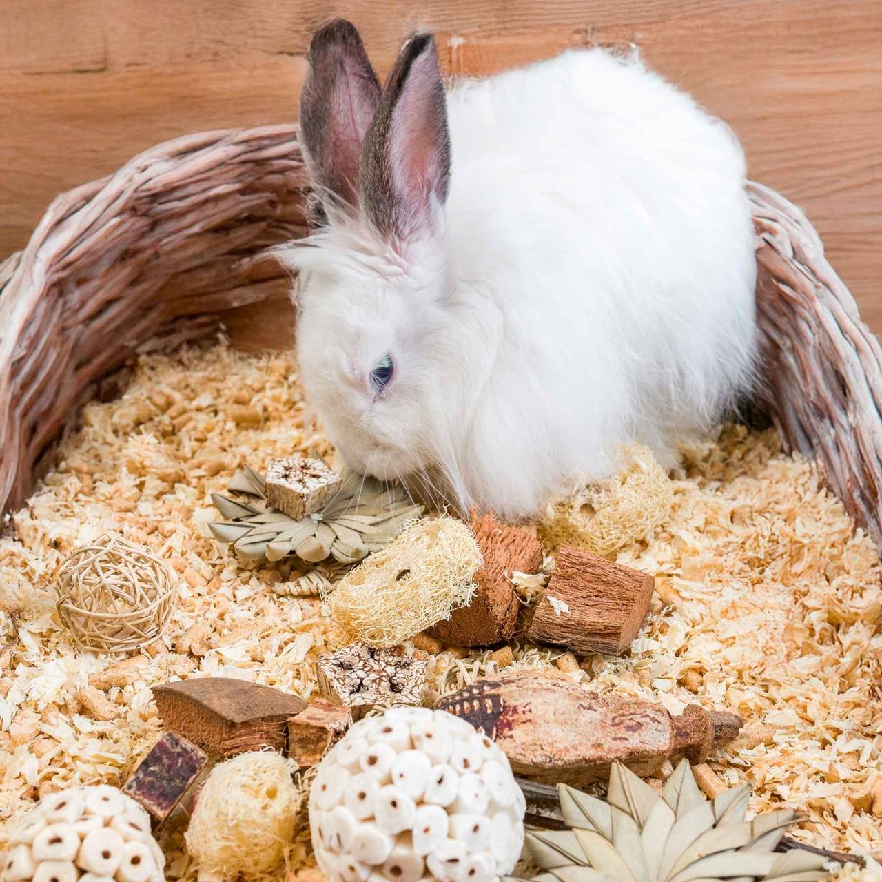 Quapas! Knabbel giftbox sterren & ballen