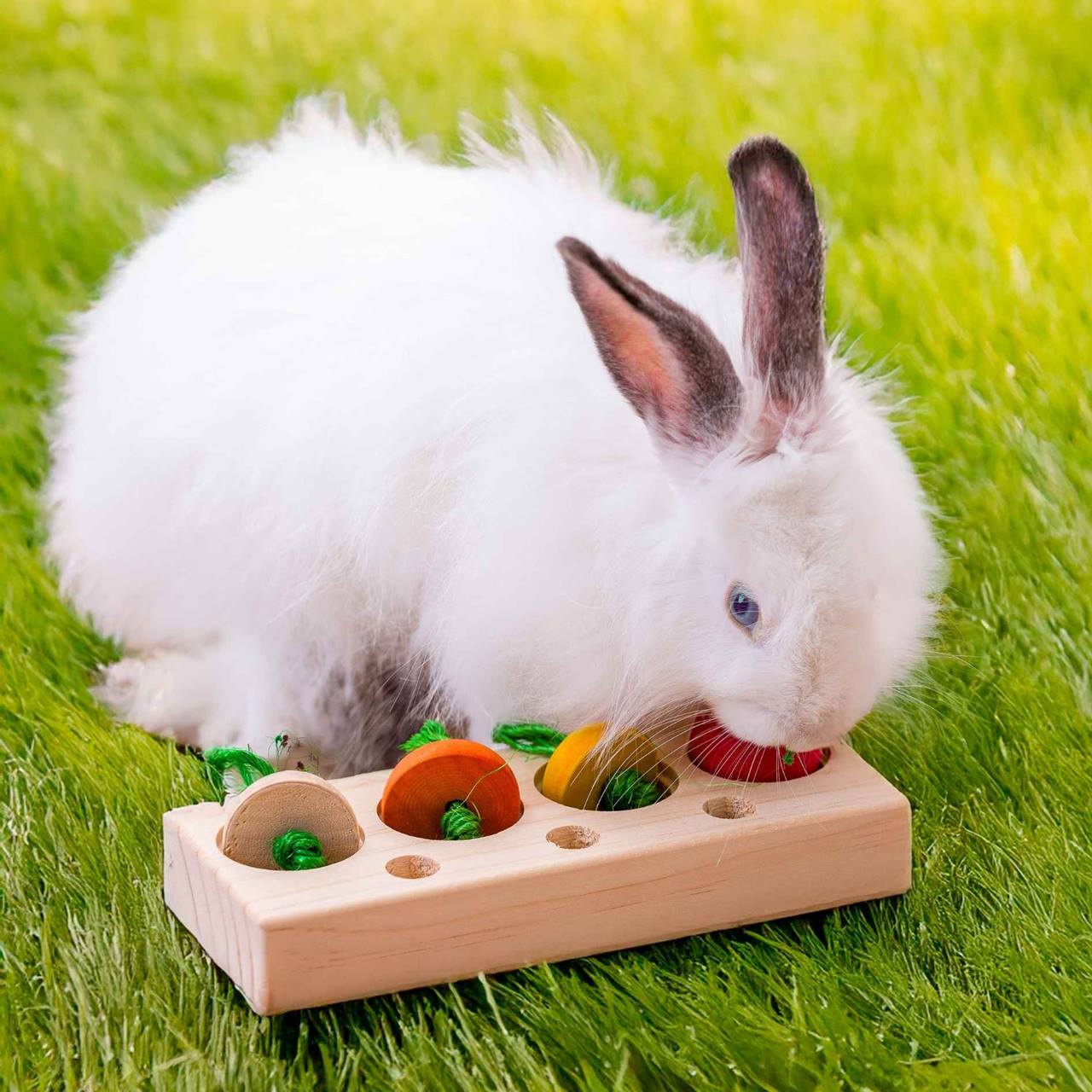 Quapas! Groenten snack puzzel