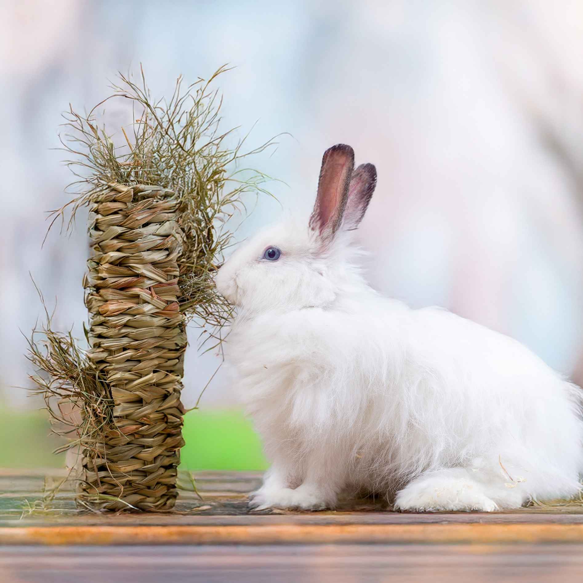 Quapas! Zeegras en hooi Tunnel L