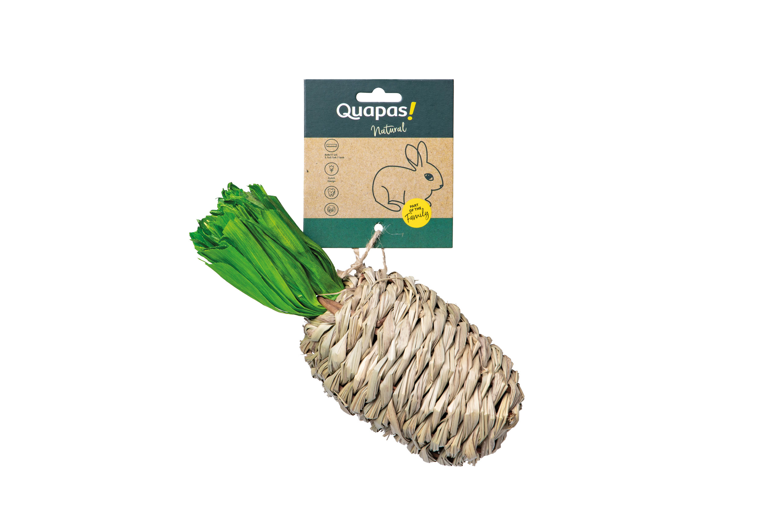 Quapas! Hibiscus gevlochten pineaplle L