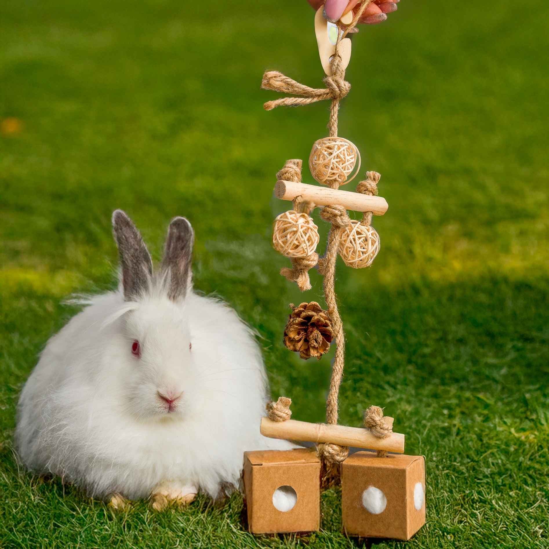 Quapas! Knaagdier speelgoed kapok mobiele kauwen