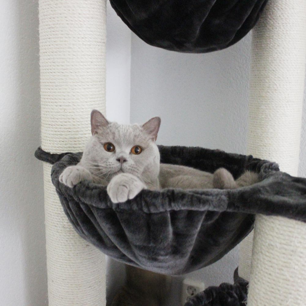 Quapas! Phoenix donkergrijs