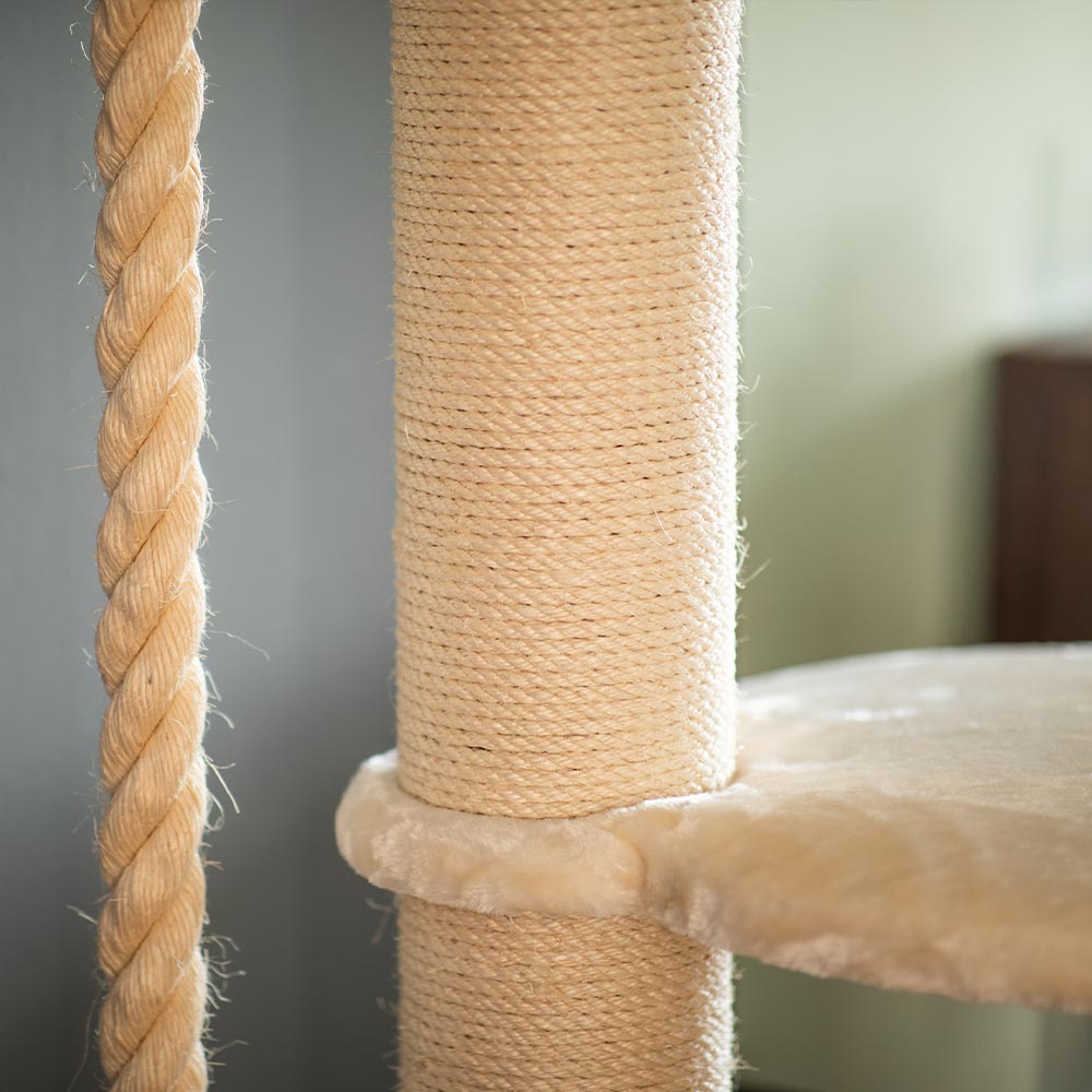 Quapas! Sturdy crème