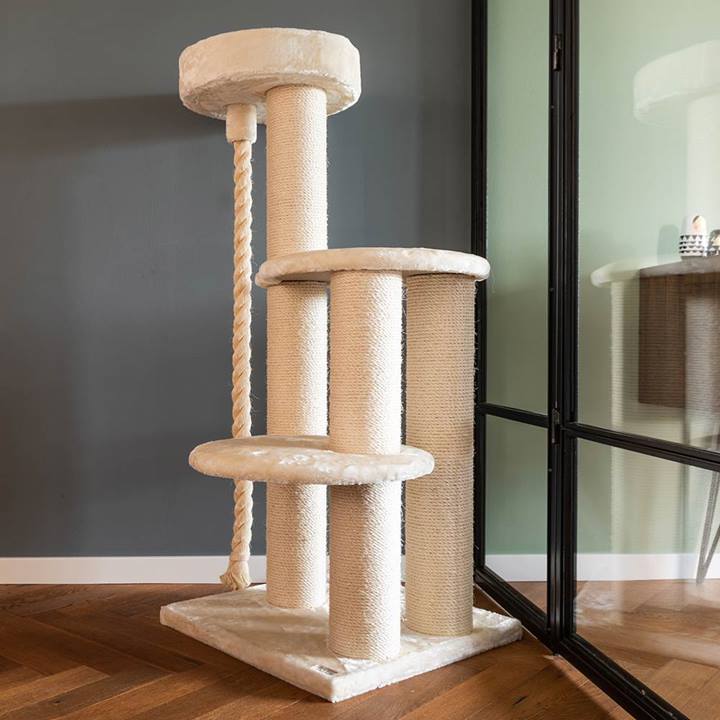 Quapas! Sturdy crème