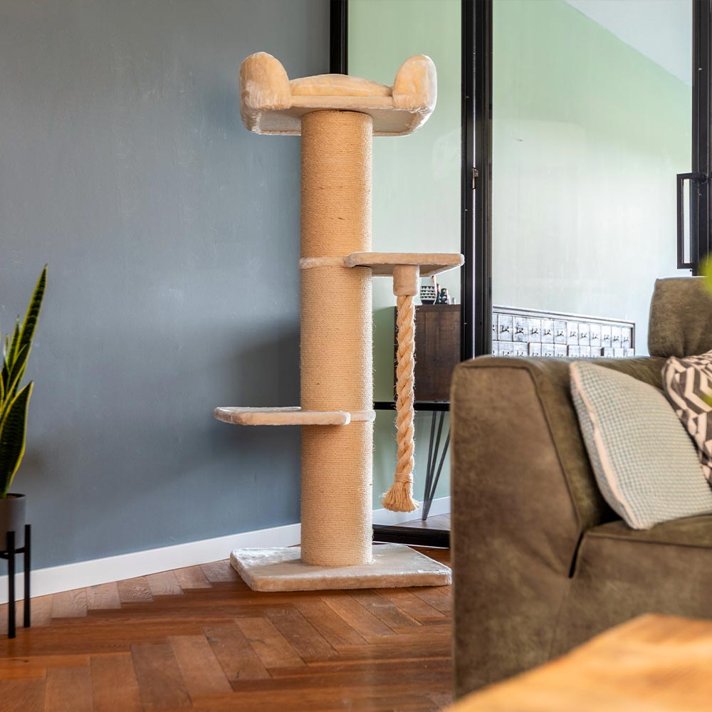 Quapas! Tower lounge Crème