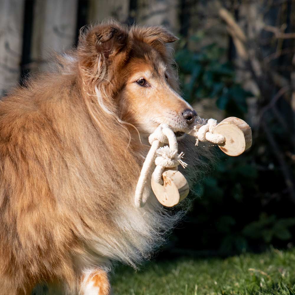 Quapas! Hondenspeeltje Coffeewood Bouncy