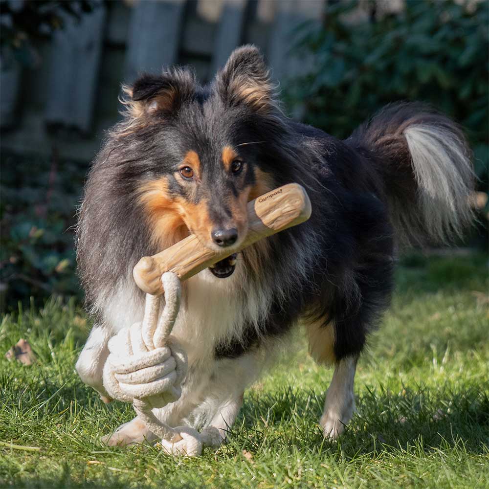 Quapas! Hondenspeeltje Coffeewood Shoot