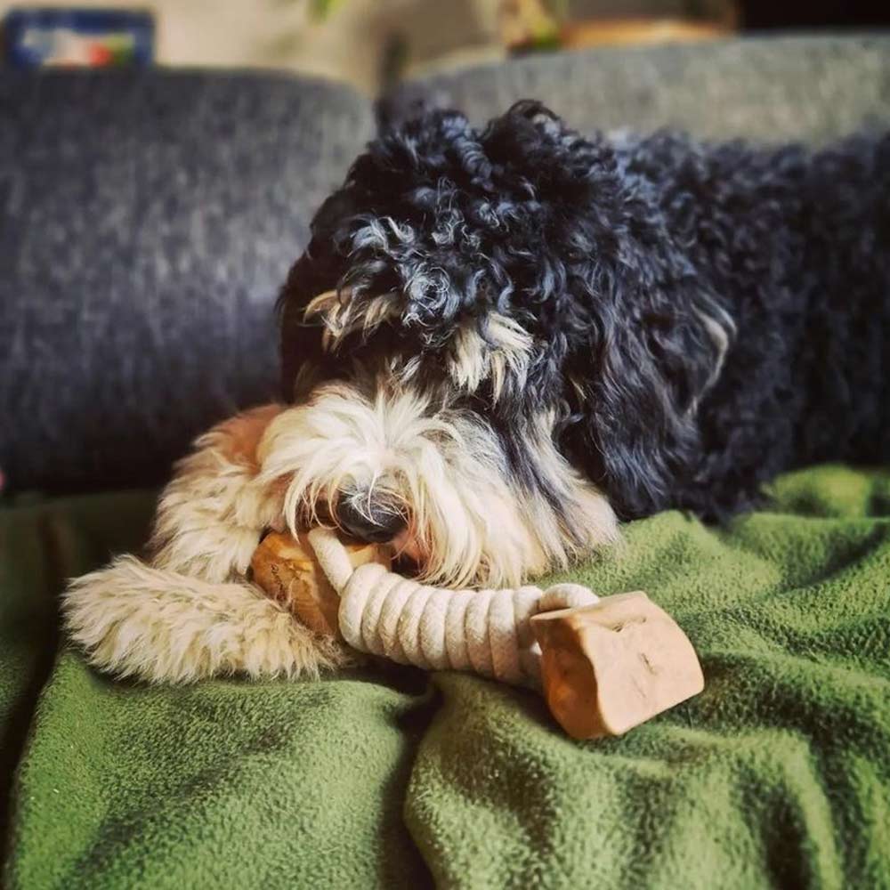 Quapas! Hondenspeeltje Coffeewood Twist