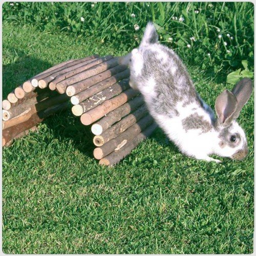 Quapas! Houten Brug S