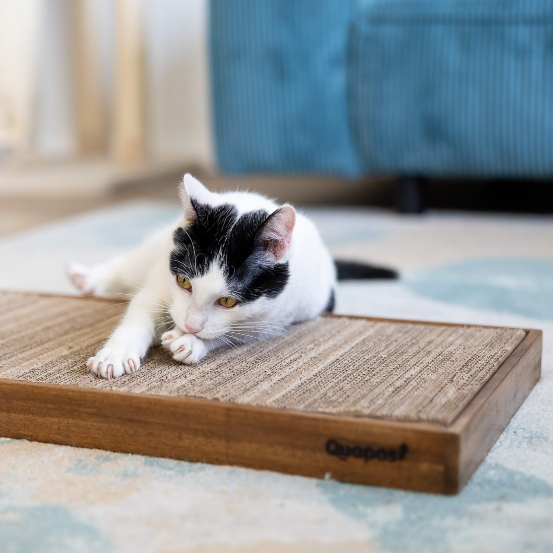 Quapas! Teak Scratcher