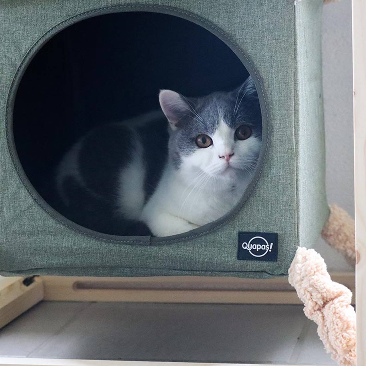 Quapas! Kattenkubus met Hangmat Groen
