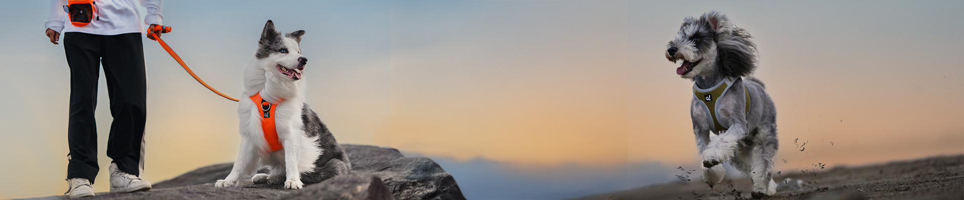 Quapas Dealerlocator